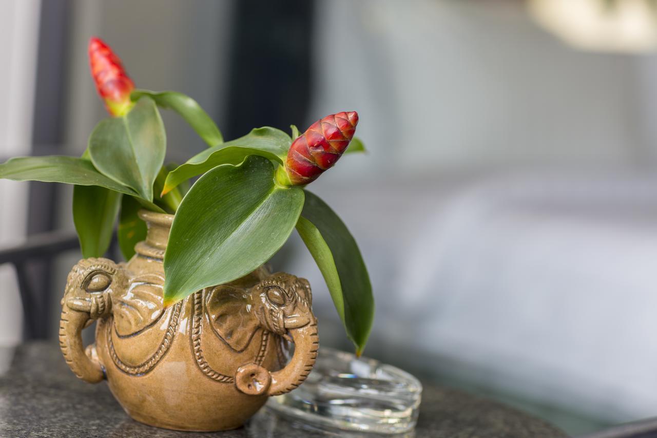 Elia Boutique Hotel Siem Reap Eksteriør bilde